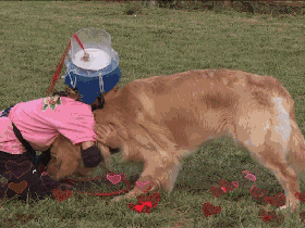 1477014949773028.gif